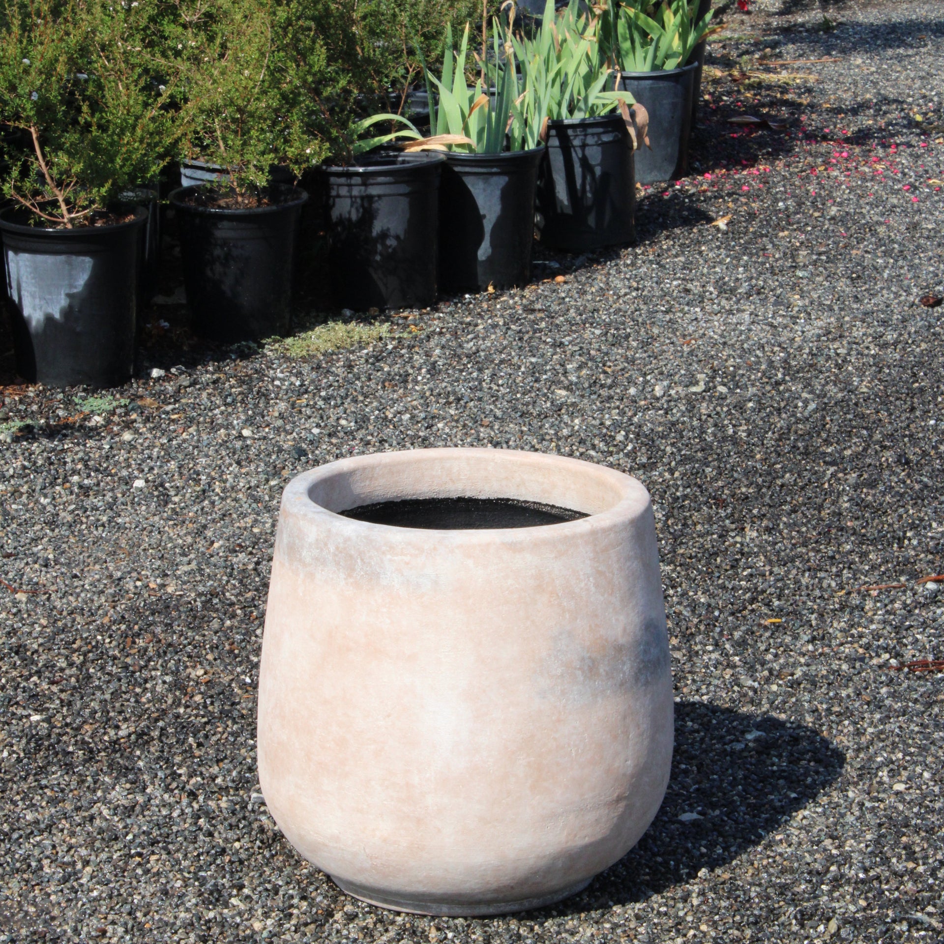 Smooth Cream Terracotta Pot