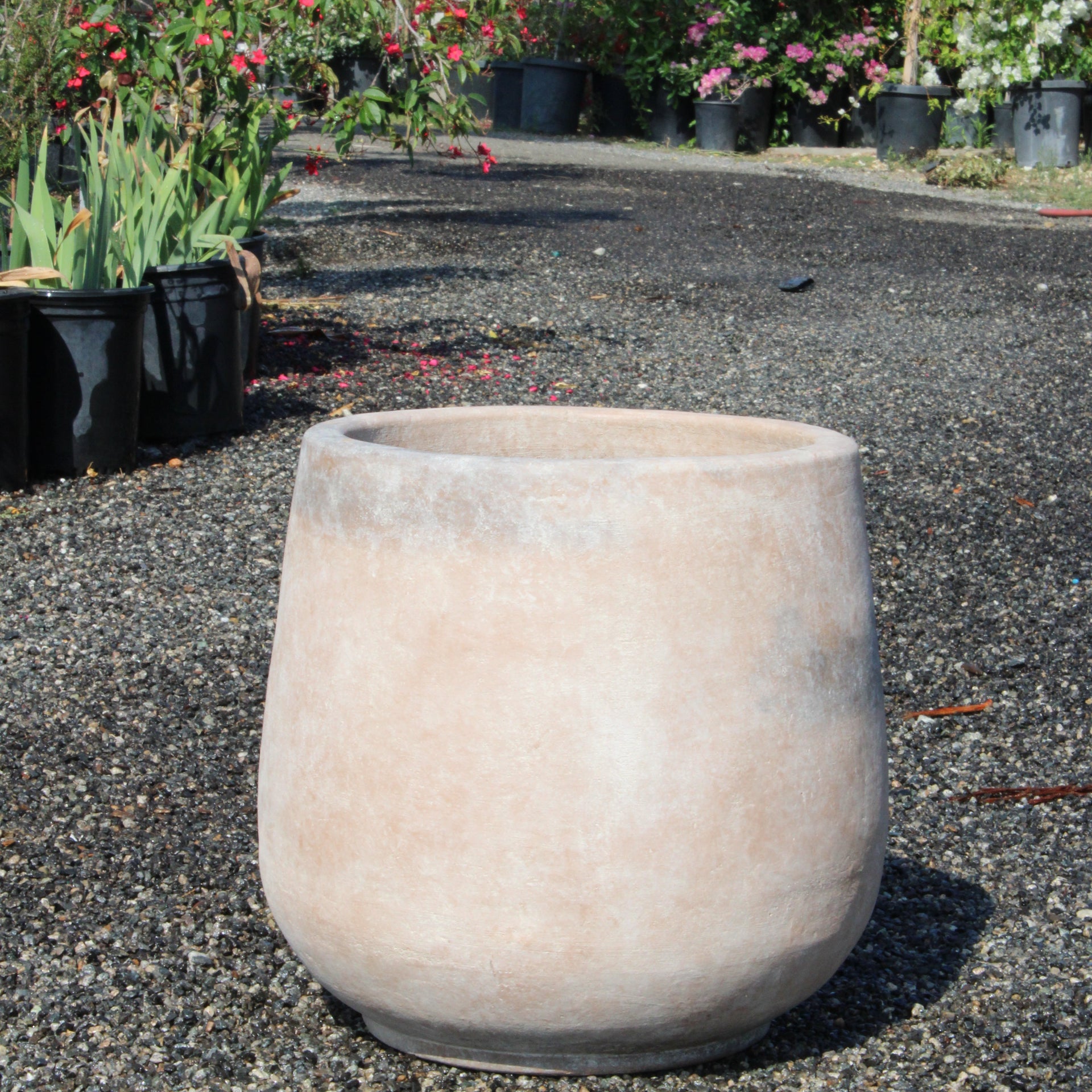 Smooth Cream Terracotta Pot