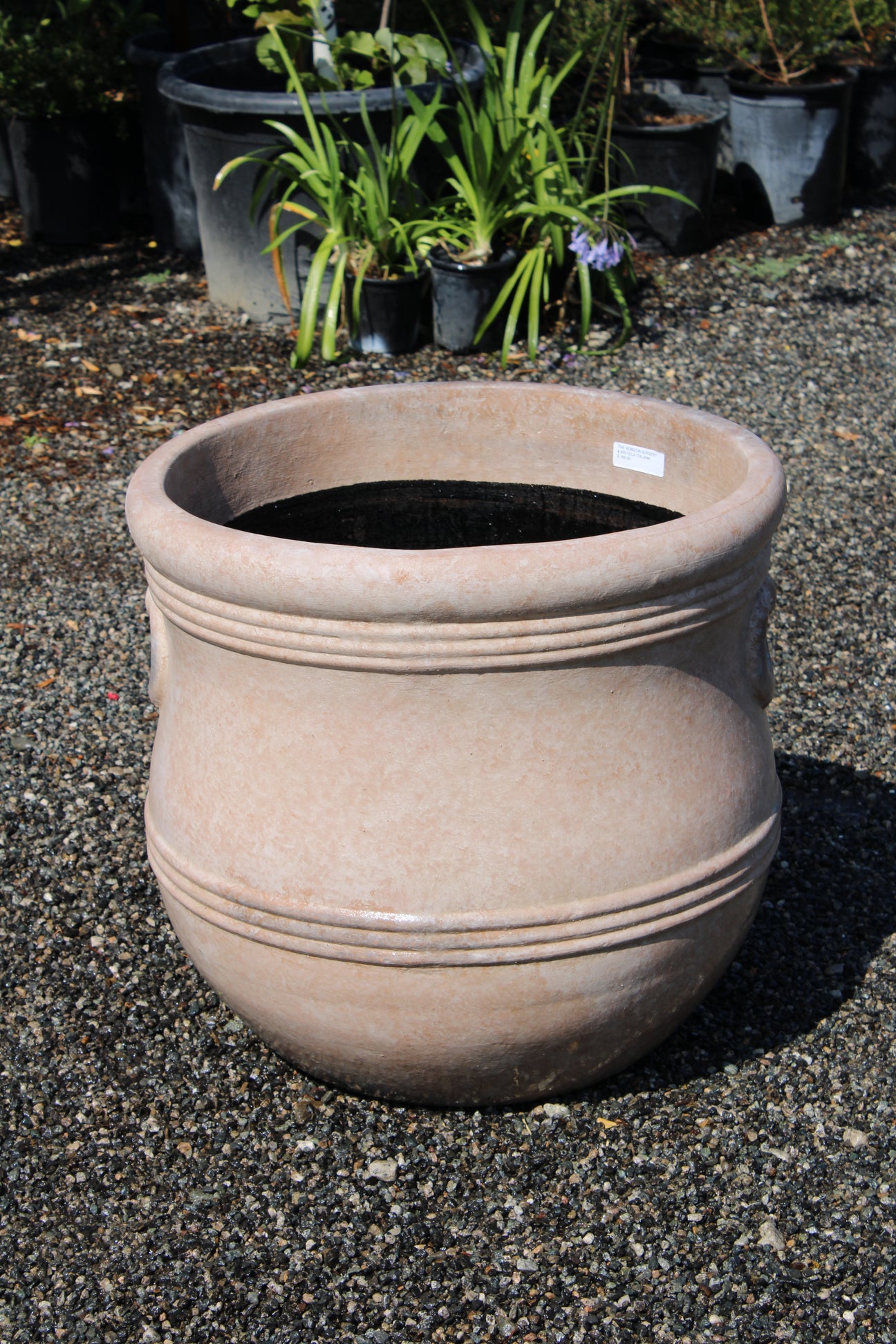 Cream Terracotta Pot with Classic Ring Design