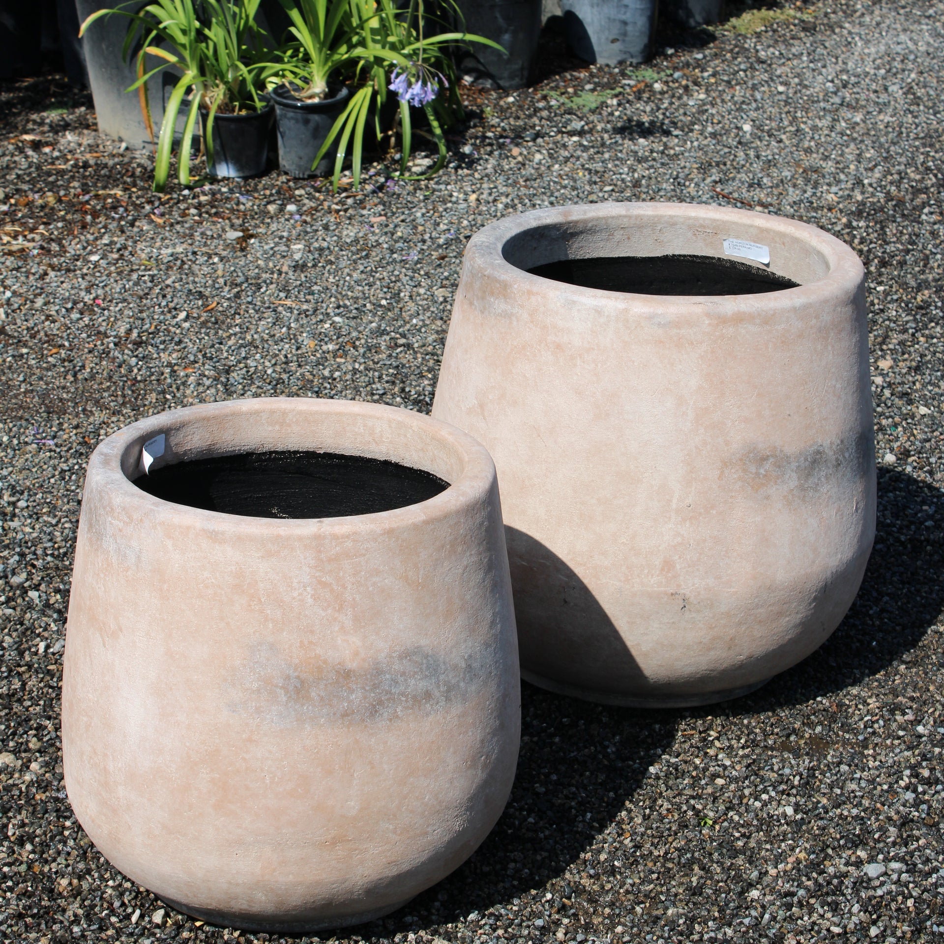 Smooth Cream Terracotta Pot