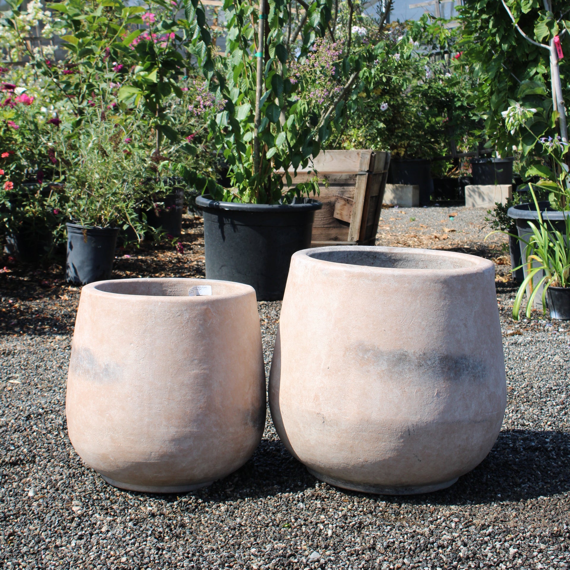 Smooth Cream Terracotta Pot