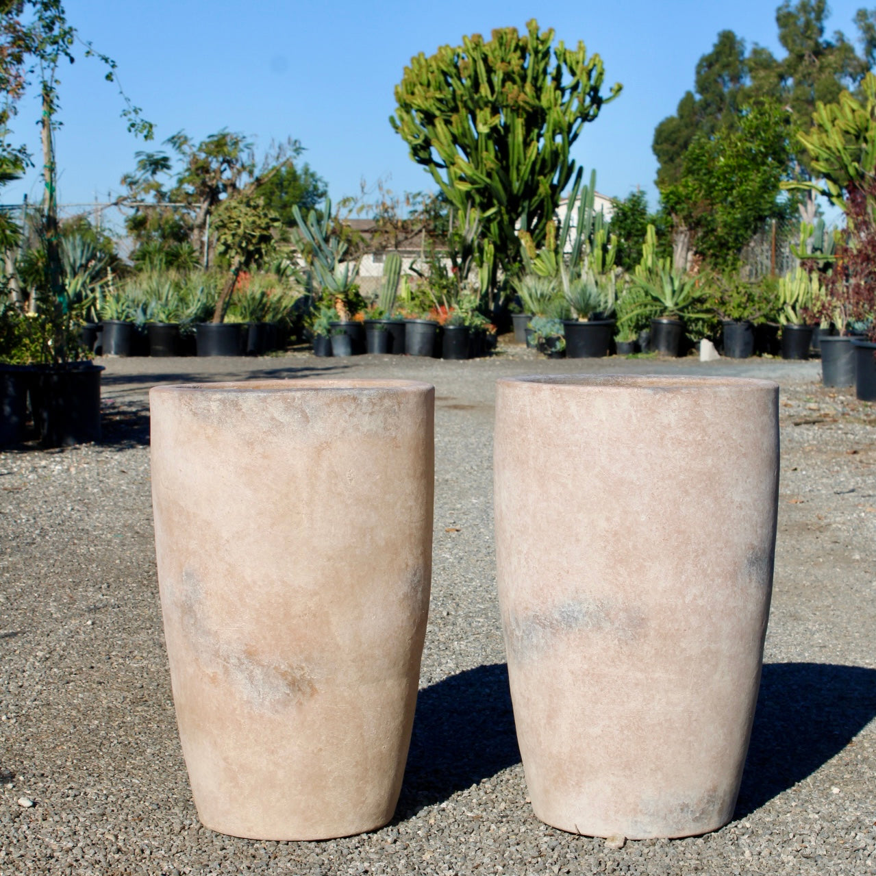 Cream Terracotta Pot – Smooth Finish