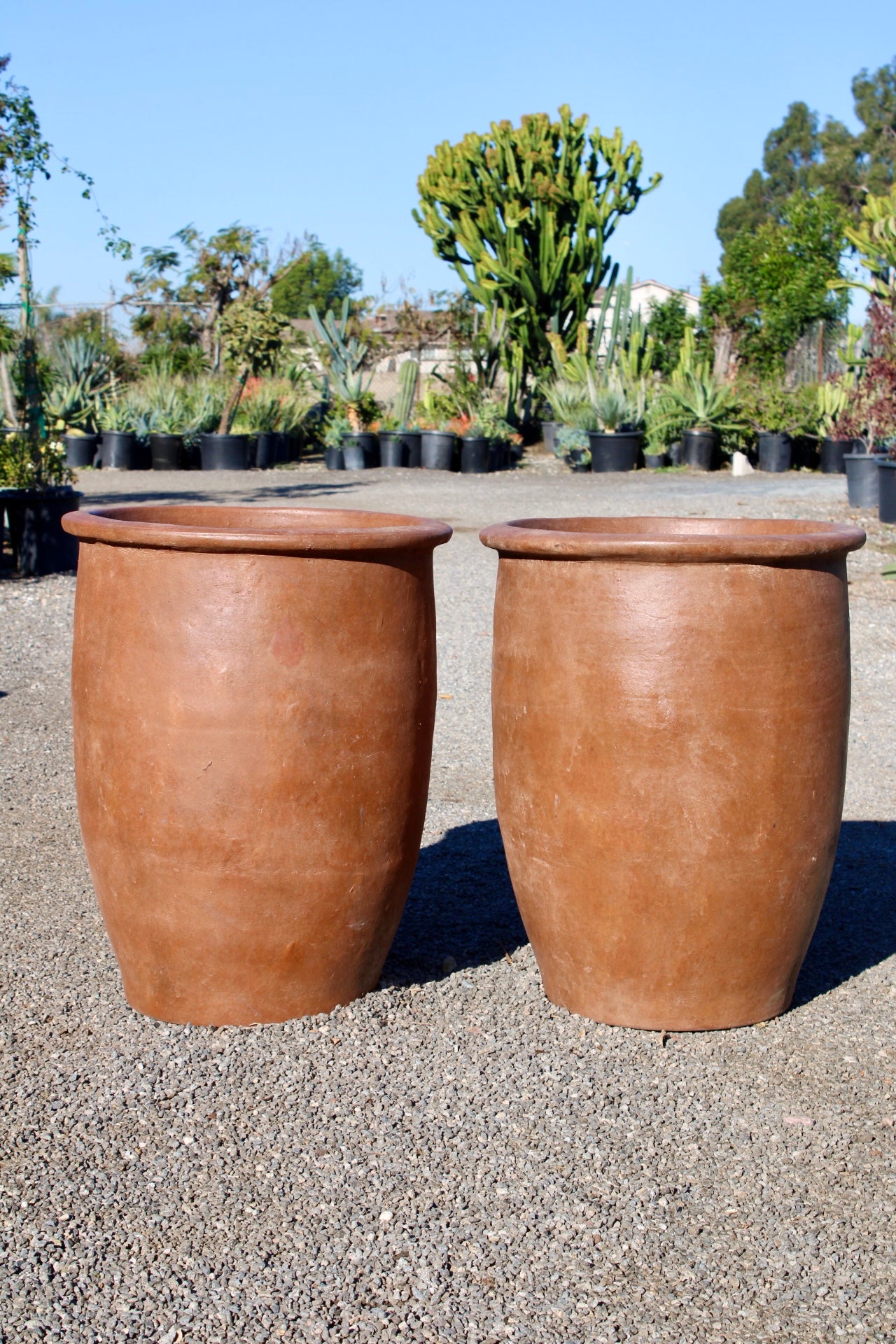 Classic Terracotta Pot – Smooth Finish
