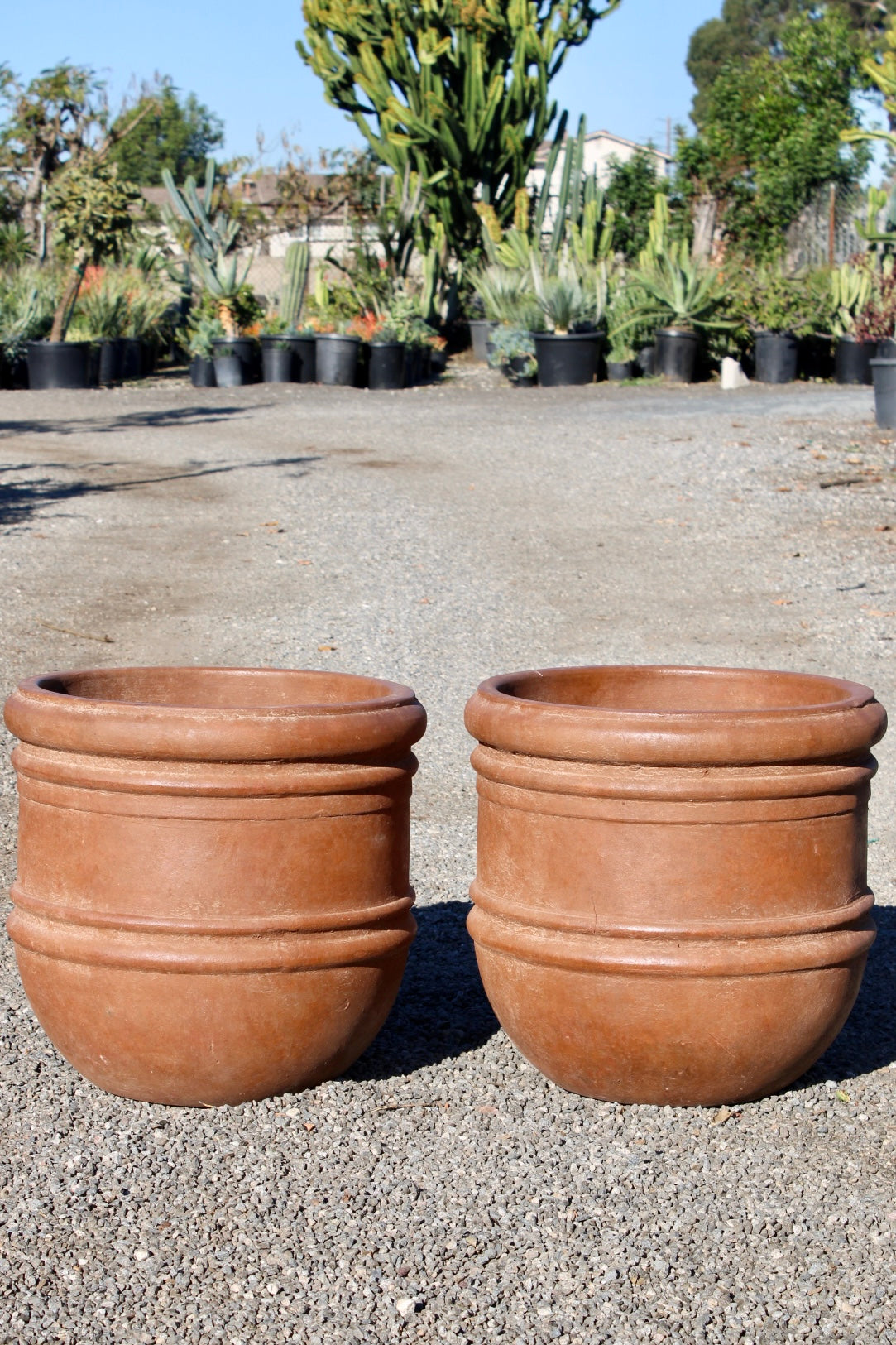 Classic Terracotta Pot with Horizontal Design