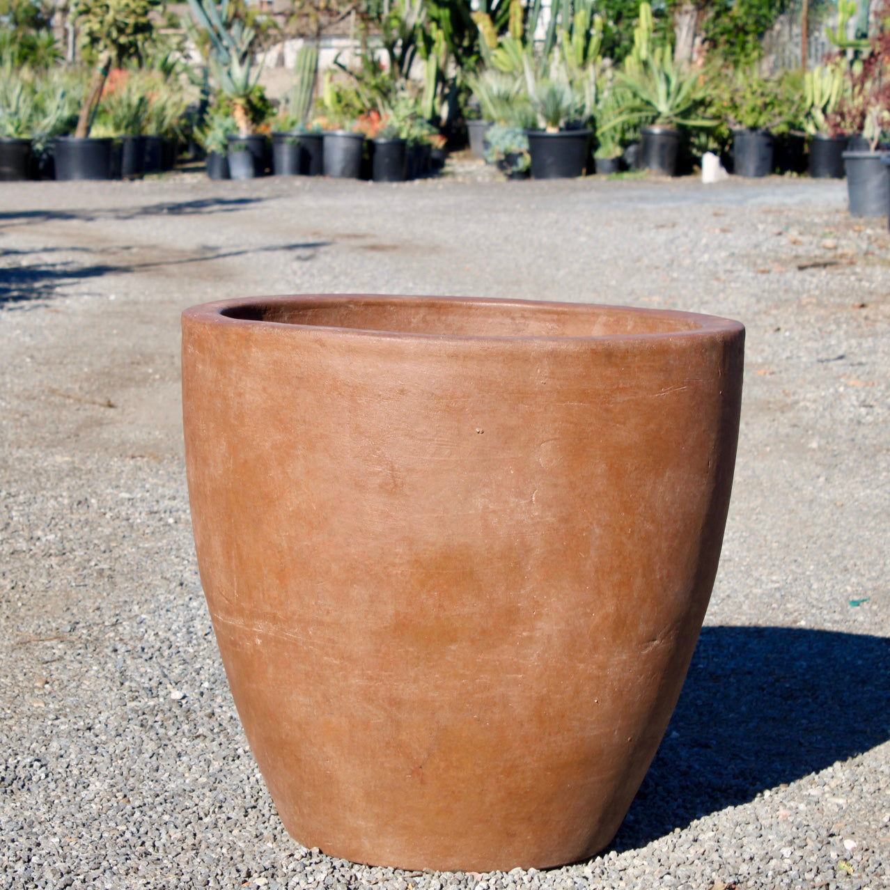 Terracotta Elegance Pot