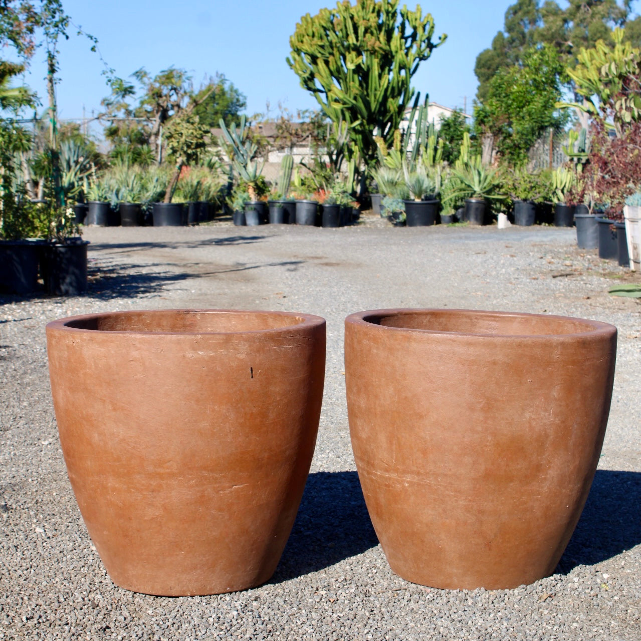 Terracotta Elegance Pot