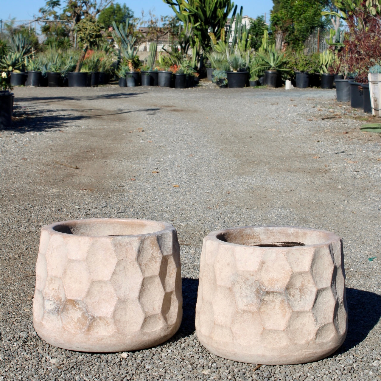 Cream Terracotta Pot – Honeycomb Groove Design