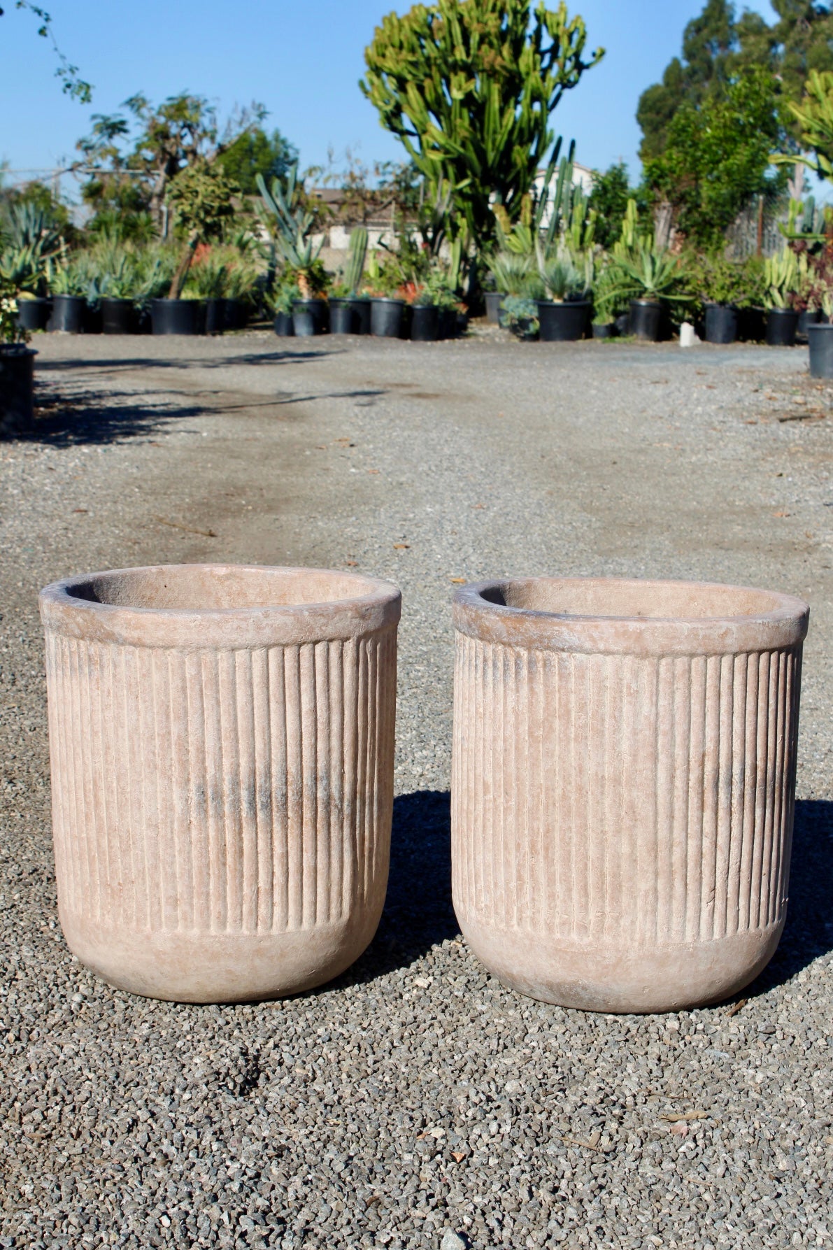 Cream Terracotta Pot with Vertical Lines
