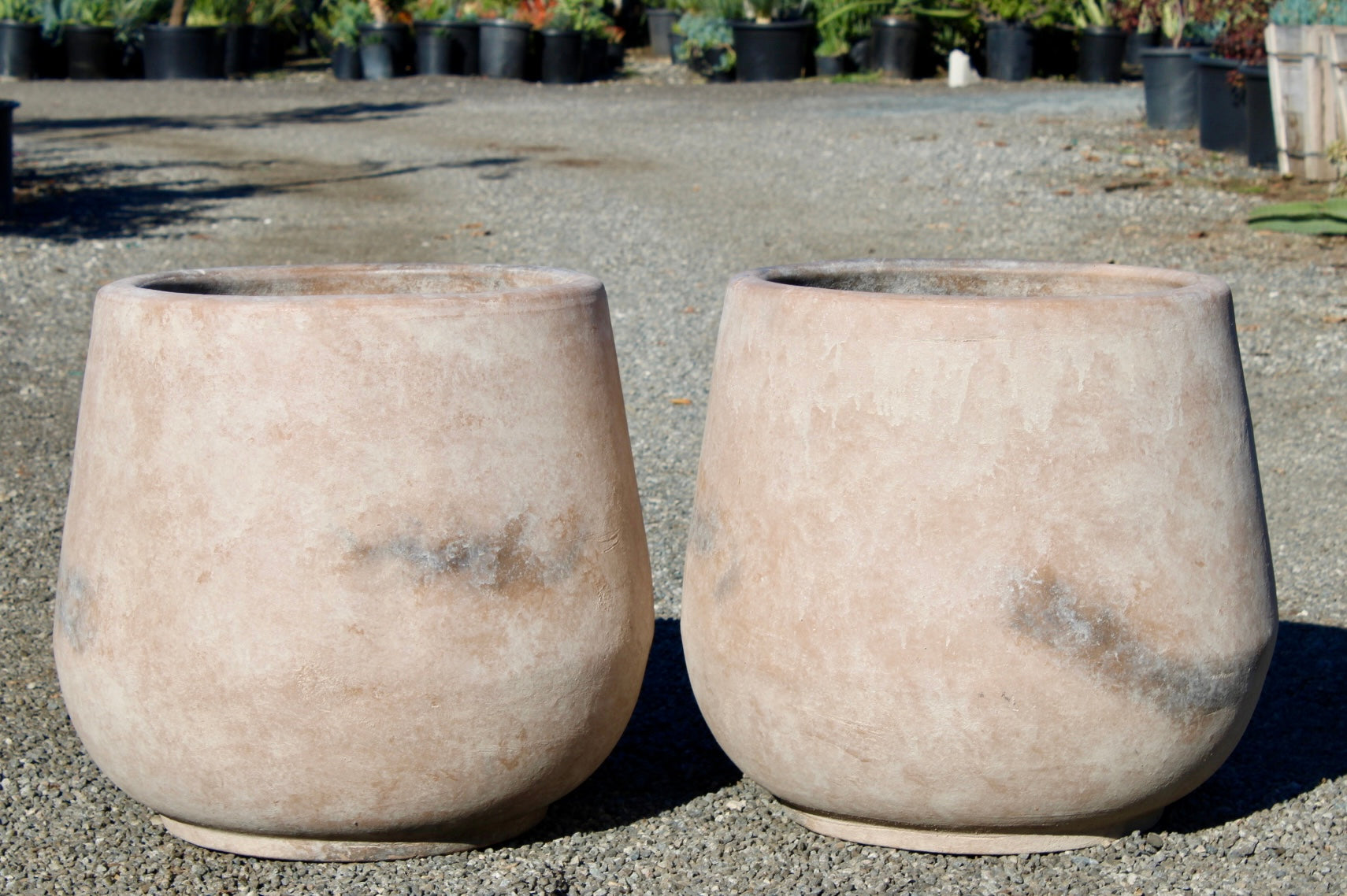 Round Cream Terracotta Pot – Smooth Finish