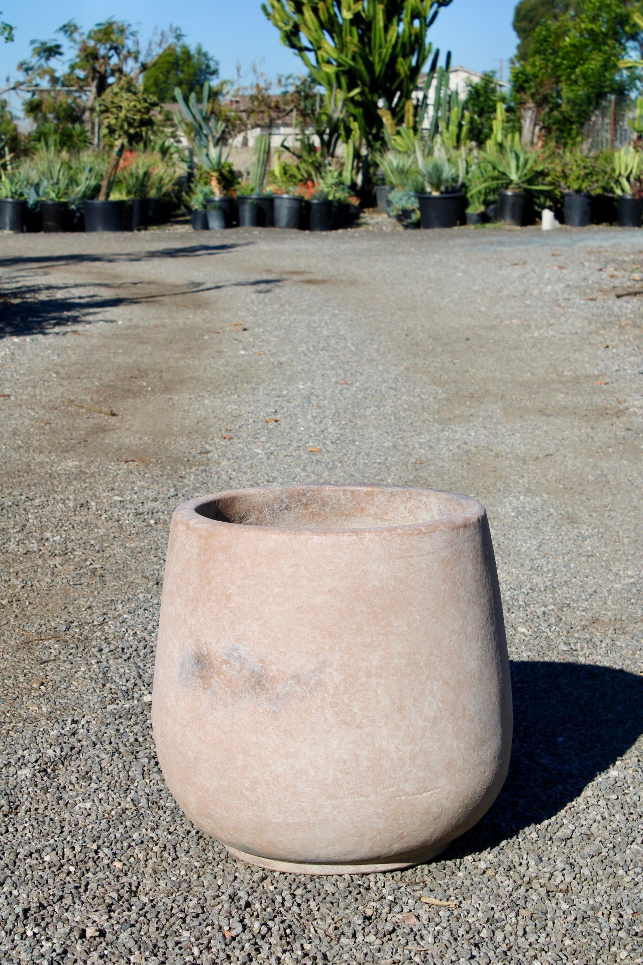 Round Cream Terracotta Pot – Smooth Finish