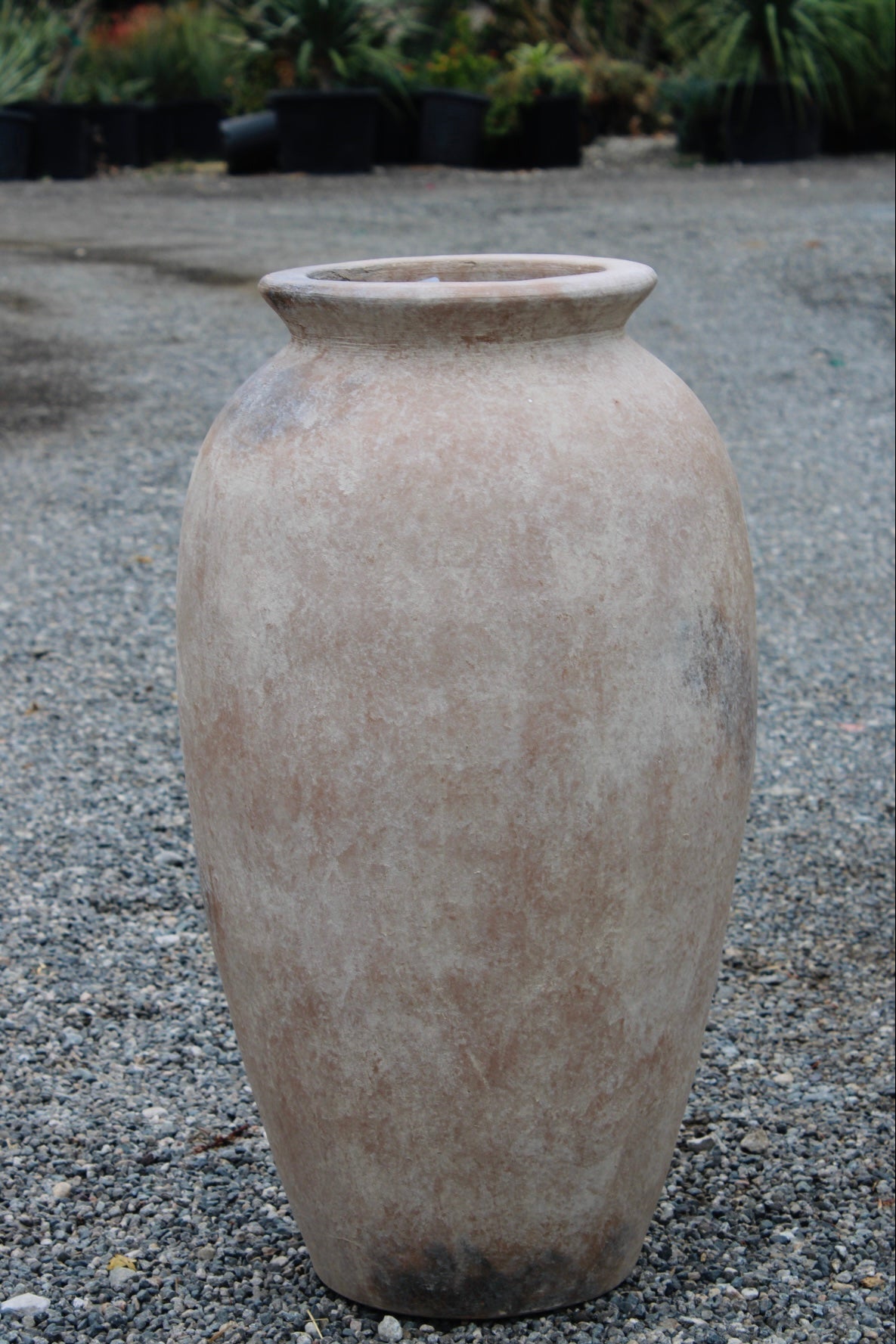 Pepino Alto