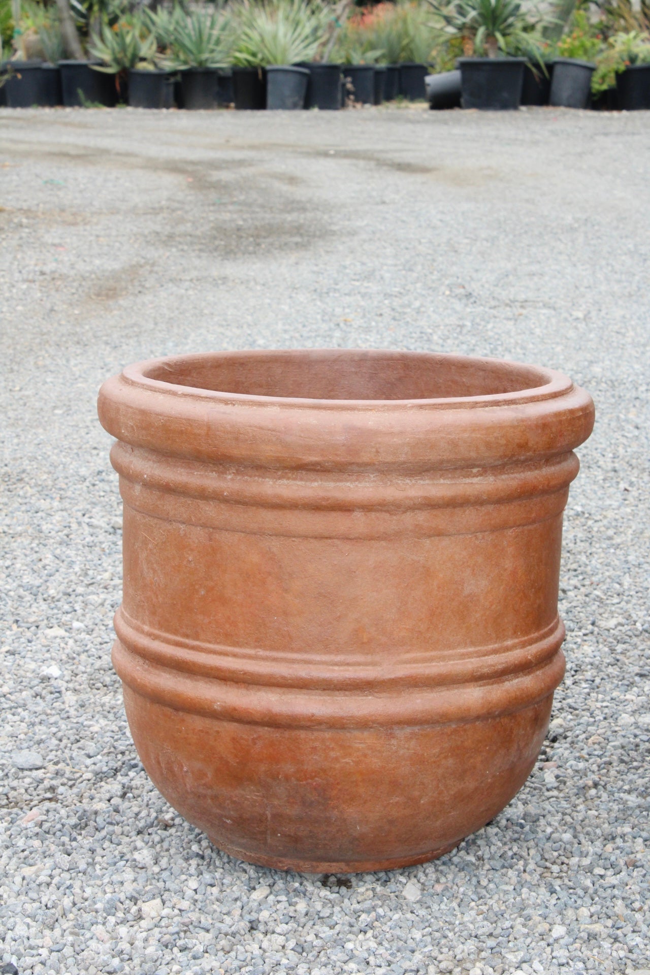 Campana Sincho