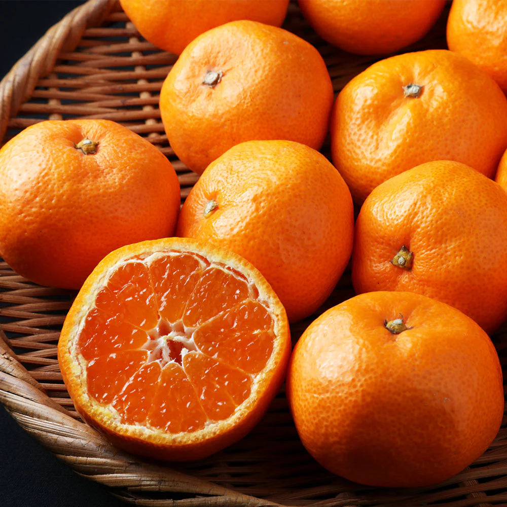 Kishu Seedless Mandarin