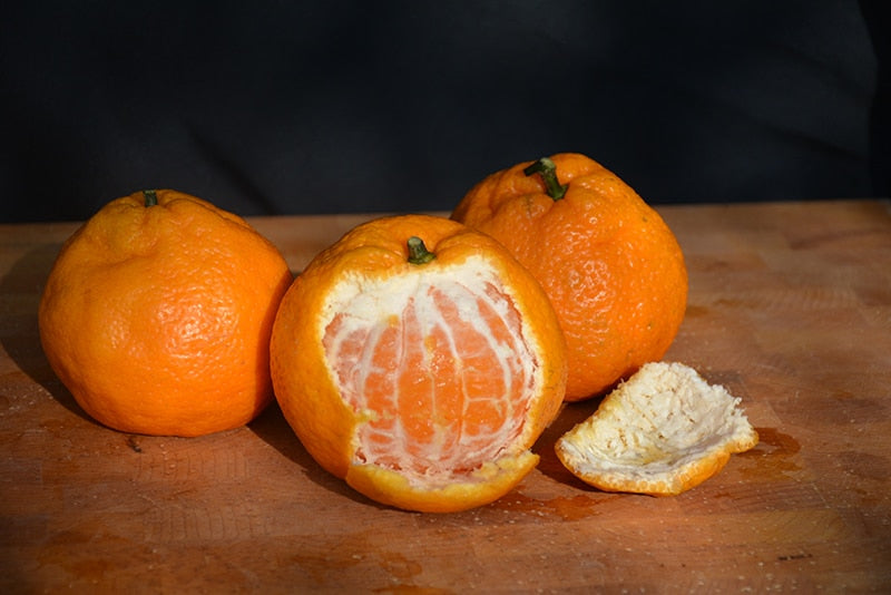Satsuma Mandarin